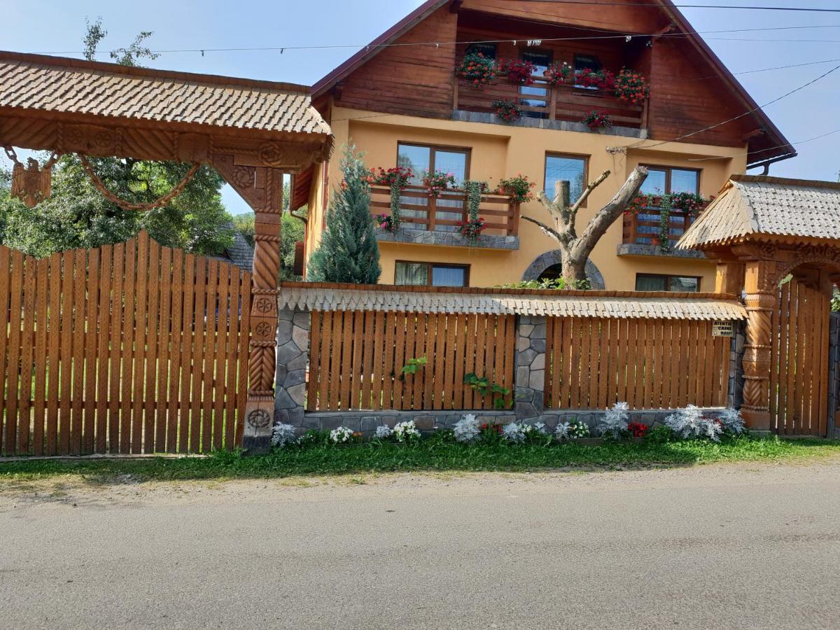 Pensiunea Ancuta Din Botiza Esterno foto