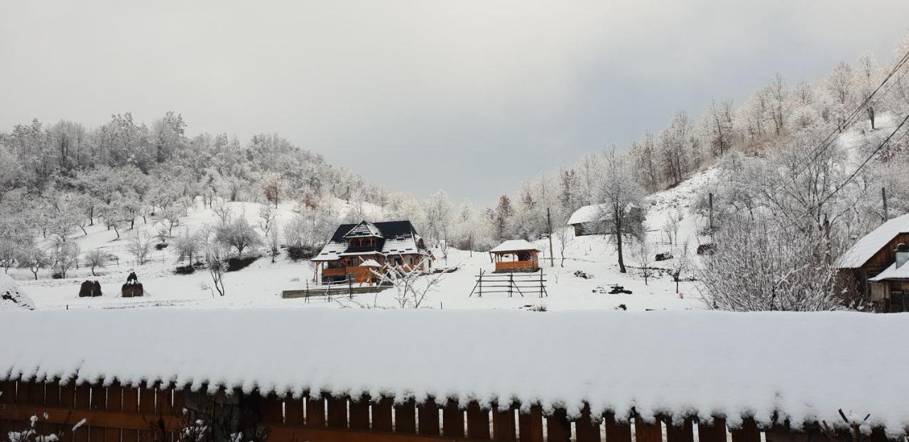 Pensiunea Ancuta Din Botiza Esterno foto