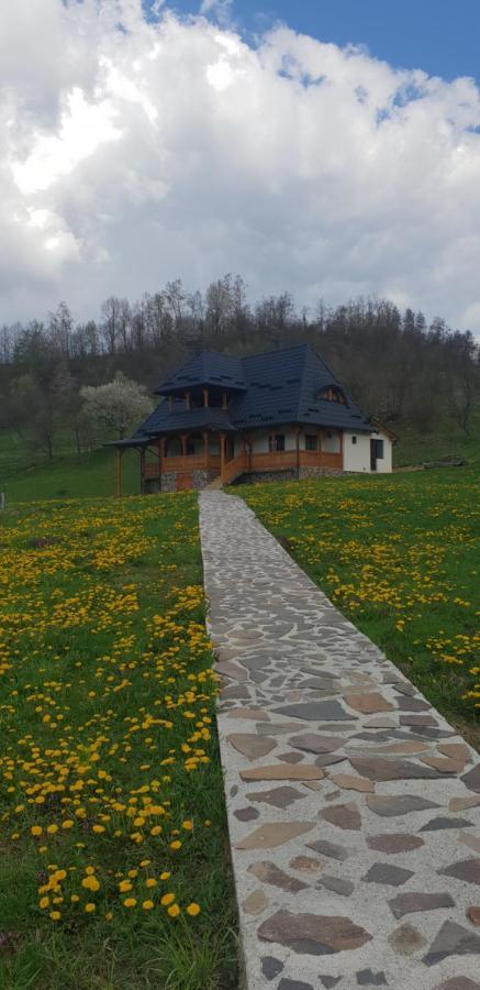 Pensiunea Ancuta Din Botiza Esterno foto